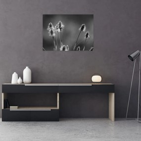 Tablou - Iarbă moale bej N⁰2 (70x50 cm)