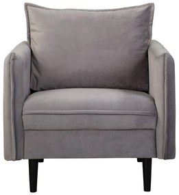 Fotoliu gri cu tapițerie din catifea Juli – Ropez