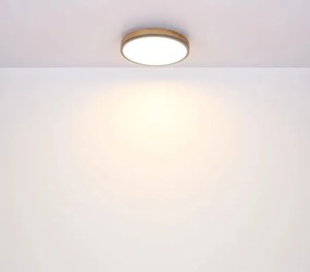 Globo 416080WD2R-CCT-LED Plafonieră DORO dimmabilă 24W/230V 3000-6500K diam. 45 cm