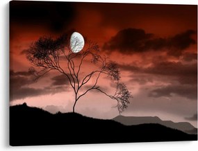 Tablou - Luna luminează noaptea (70x50 cm)