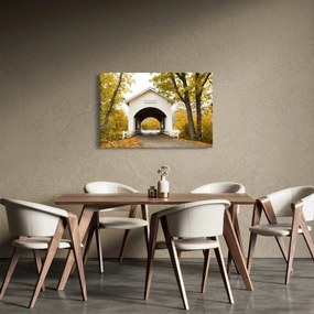 Tablou cu podul în Oregon (90x60 cm)