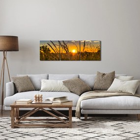 Tablou cu câmp în apus de soare (cu ceas) (90x30 cm)