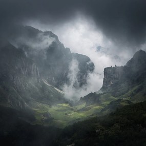 Fototapet, Foggy Valley, Rebel Walls