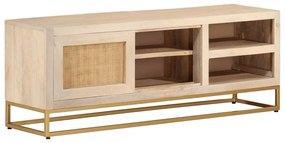 vidaXL Comodă TV, 110x30x40 cm, lemn masiv de mango brut și fier