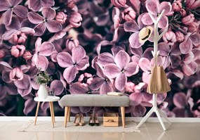 Fototapet flori violete de liliac