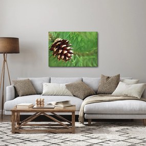 Tablou cu con (70x50 cm)