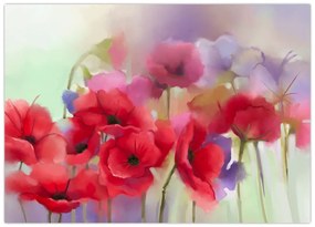 Tablou pe sticlă - Maci (70x50 cm)