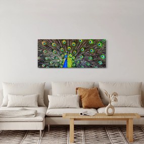 Tablou - Păun (120x50 cm)