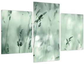 Tablou - Pajiște verde (90x60 cm)