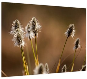 Tablou - Iarbă (70x50 cm)