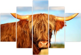 Tablou - Vacă scoțiană (150x105 cm)