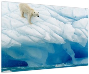 Tablou - Ursul polar (90x60 cm)