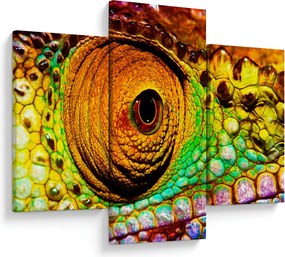 Tablou - Cameleon (90x60 cm)
