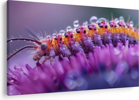 Tablou - Caterpillar (90x60 cm)