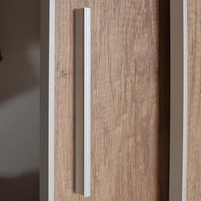 Pantofar Adore Porto cu cuier, 2 usi cu oglinda, 12 rafturi, capacitate 35 perechi incaltaminte, 120 x 212 x 40 Cm