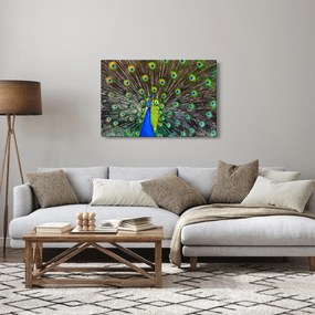 Tablou - Păun (90x60 cm)