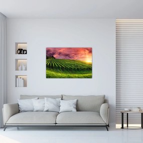 Tablou cu vie cu cerul color (90x60 cm)