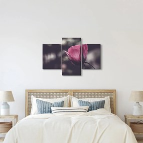 Tablou - Detaliu florii de trandafir (90x60 cm)