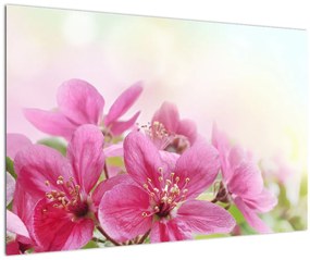 Tablou - Flori roz (90x60 cm)