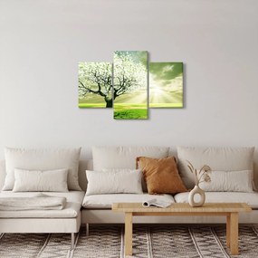 Tablou cu copaci pe luncă (90x60 cm)