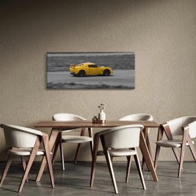 Tablou - Mașină rapidă (120x50 cm)