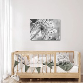 Tablou pe sticlă - Floare în timpul iernii (70x50 cm)