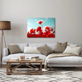 Tablou - Câmp cu flori roșu deschis (70x50 cm)