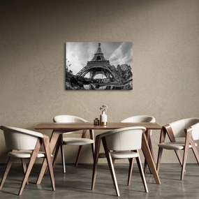 Tablou - Turnul Eiffel, alb-negru (70x50 cm)