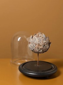 Cupolă decorativă din sticlă, anghinare din metal cu petale sculptate, gri, bază din lemn de mango, finisaj antichizat, 26 x 23 cm, „Artichaut”