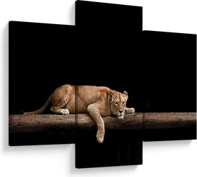 Tablou - Lioness (90x60 cm)