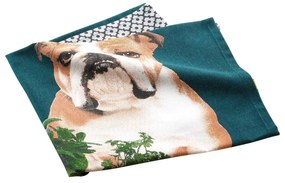 Prosop de vase din bumbac 50x70 cm Hot dog – douceur d'intérieur