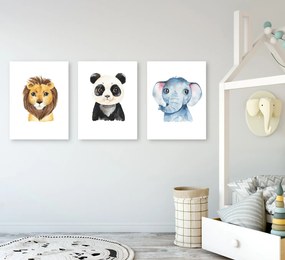 PIPPER | Set de tablouri pentru copii - Animale exotice