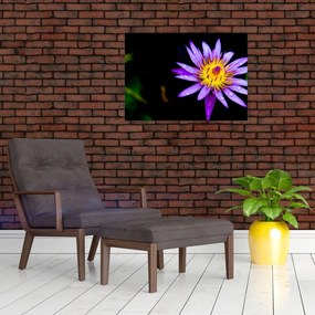 Tablou cu floare (70x50 cm)