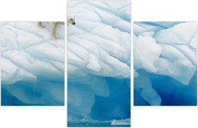 Tablou - Ursul polar (90x60 cm)