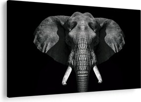 Tablou - Elefant pe fundal negru (90x60 cm)