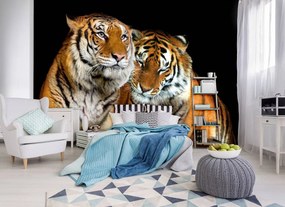 Fototapet - Tigri (254x184 cm)