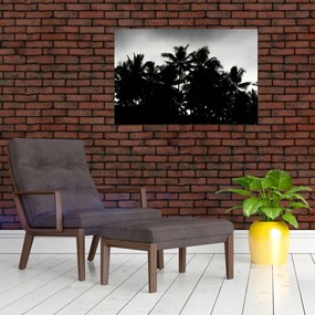 Tablou alb negru - palmieri (90x60 cm)