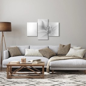 Tablou - Crin delicat (90x60 cm)