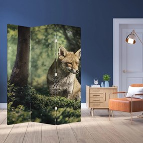 Paravan - Vulpe (126x170 cm)