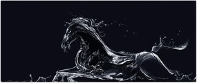 Tablou - Cal și apă (120x50 cm)
