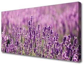 Tablou pe panza canvas Flori roz Floral