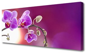 Tablou pe panza canvas Flori roz Floral