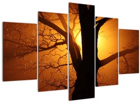 Tablou cu copac în apus de soare (150x105 cm)