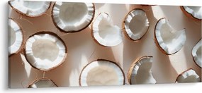 Tablou - Nuci de cocos (120x50 cm)