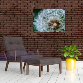 Tabloul cu păpădie desflorit (70x50 cm)