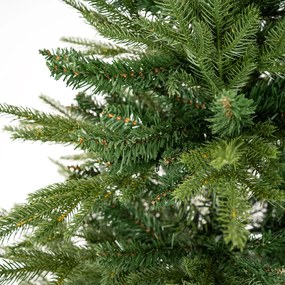 Brad de Crăciun Smrk sivý, 150 cm