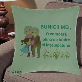 Cadou pentru Bunici - Perna Personalizata Bunicii Mei Comoara Iubire Intelepciune Nepoata, 40x40 cm, Verde, Husa Detasabila, Perna Inclusa, BEKZ®