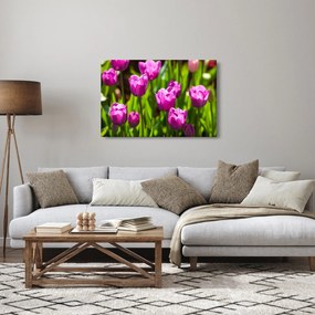 Tablou cu lale pe luncă (90x60 cm)