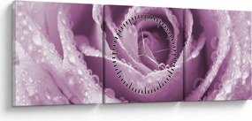 Tablou detaliu de floare de trandafir (cu ceas) (90x30 cm)