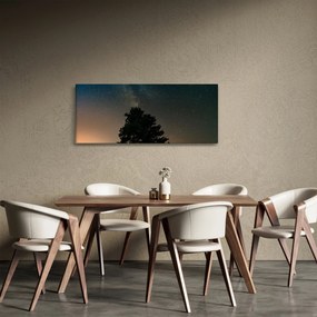 Tablou cu cerul nocturn și copaci (120x50 cm)